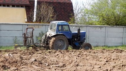 Tractor plows the land on the land