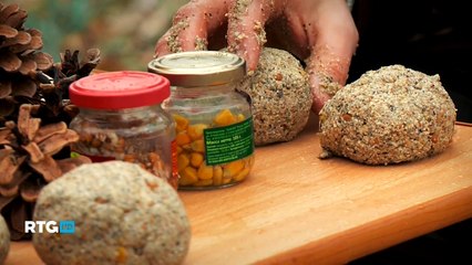 330 Ловля белого амура в низовьях Дона (RTG TV HD)