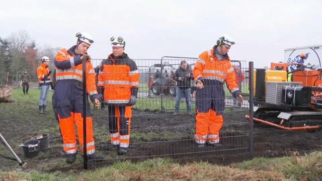 Europa ergue fronteiras à peste suína