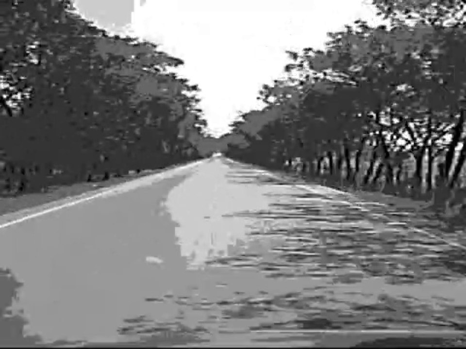 trip