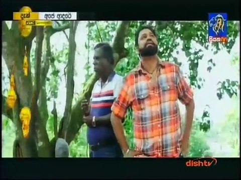 Ape Adare (220) 29-01-2019