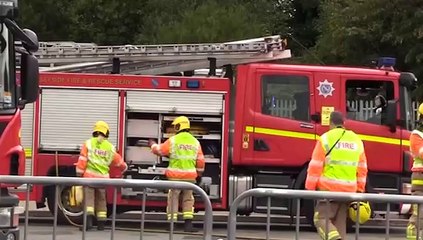 GOODLINES: 30th January 2019