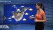 La previsión del tiempo en Canarias para el 30 de enero