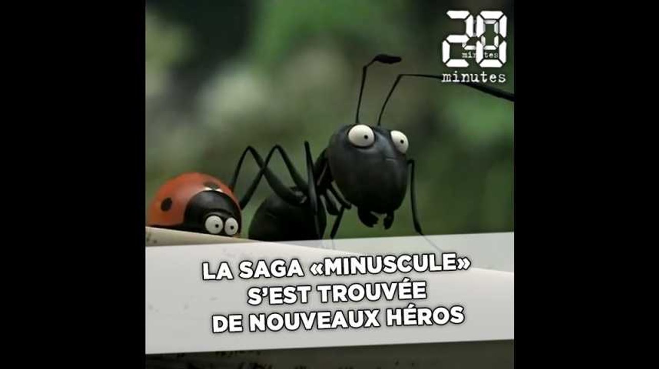 La saga « Minuscule » s’est trouvée de nouveaux héros