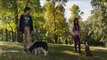 A Dog's Journey Trailer #1 (2019) Dennis Quaid, Betty Gilpin Movie HD