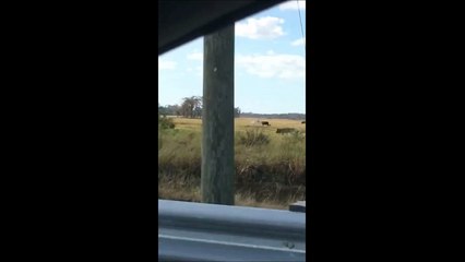UFO Spotted Palm Beach Florida Jan 2019 Hovering near highway