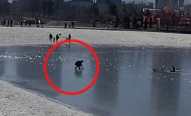 Hero Soldier Rescues Boy, 9, Who Fell Into Icy Lake