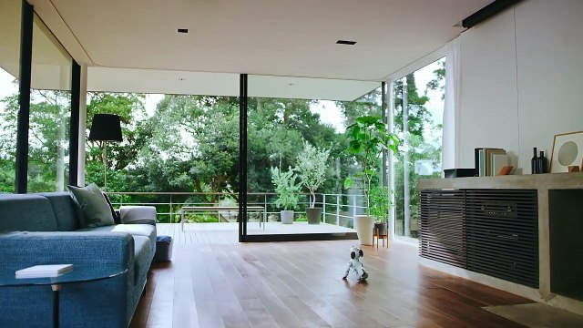 หุ่่นยนตร์หมา