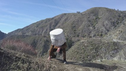 Andrew Bird - Sisyphus