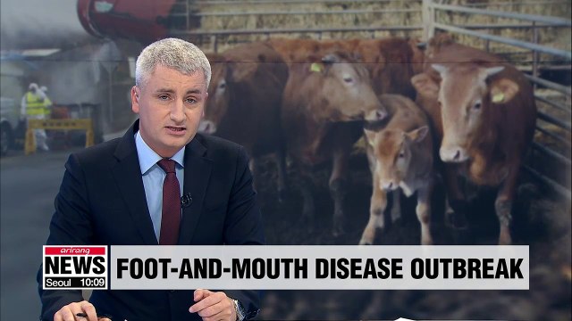 Second foot-and-mouth disease case confirmed in S. Korea
