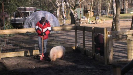 Katie weet wat ze wil!