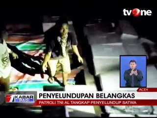 Patroli TNI AL Gagalkan Penyelundupan 7 Ribu Ekor Belangkas