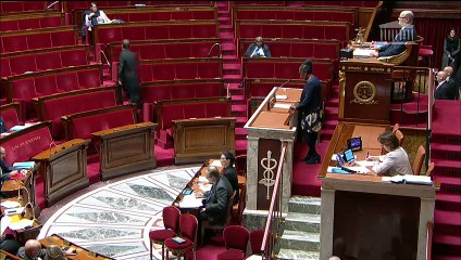 2ème séance : Questions au Gouvernement ; Discussion de la proposition de loi relative au délai d'intervention du juge des libertés et de la détention en rétention administrative à Mayotte  - Mardi 29 janvier 2019