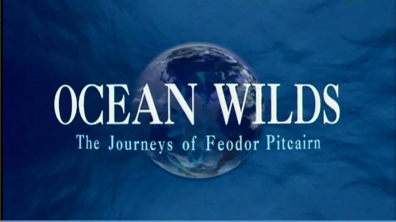 Đại Dương Hoang Dã - Vương Quốc Của Loài Cá Voi Sát Thủ (Thuyết Minh)