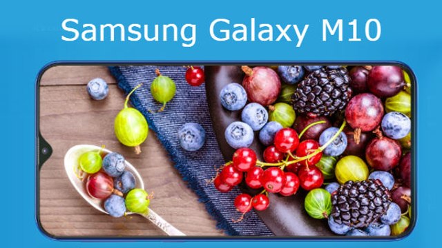 Samsung Galaxy M10 Features