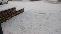 La neige est tombée à Pontillas en province de Namur ce 30 janvier 2019