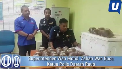 Empat sahabat ditahan dipercayai jual ketum