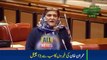 Best Reply By Lady To Siraj Ul Haq Speech Today In Senate On Mini Budget | Ary News Headlines