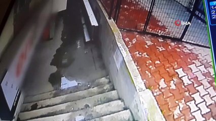 Sahibiyle Lokantada Yemek Yiyen Keçiye Köpek Saldırdı