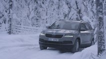 ŠKODA KAROQ - Ausstattungslinie Active und neue Antriebsoptionen ab sofort bestellbar