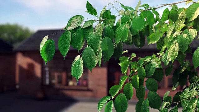Filme cristão O caminho para o reino dos céus é perigoso Trecho 1 – A Relâmpago do Oriente abala o mundo religioso