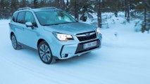 Subaru Snow Days 2019 - Subaru Forester