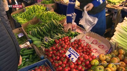 Seracılıkta modern çağ başlıyor