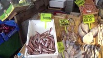 Lodos Balık Fiyatlarını Düşürdü
