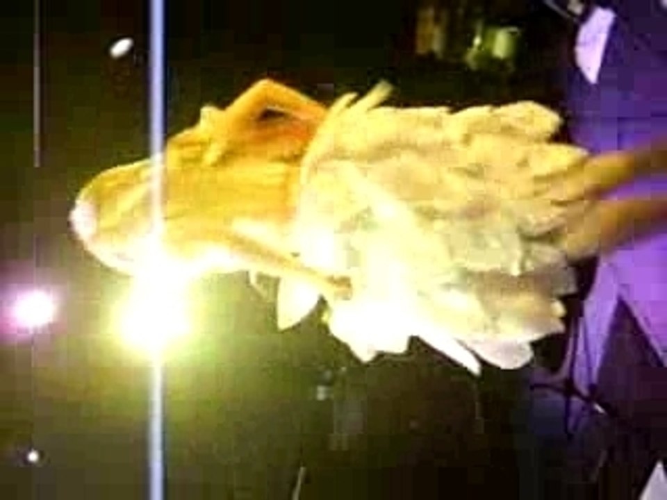 Moon Wings