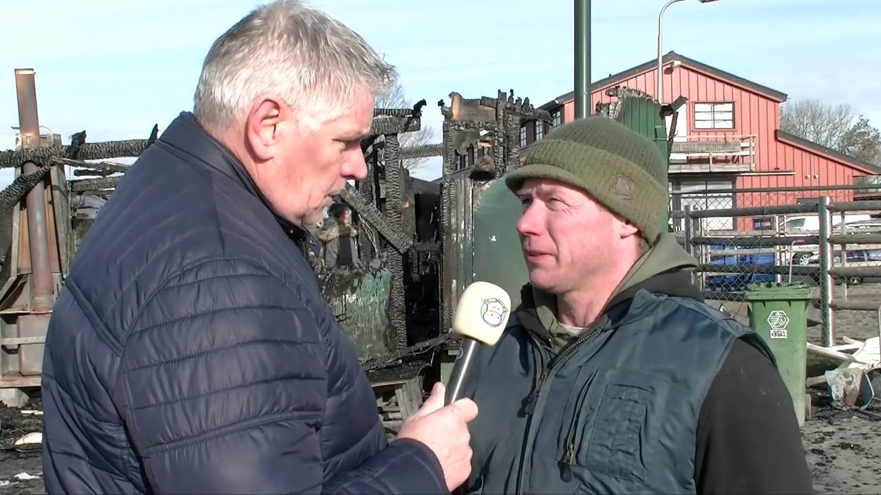 Aantal dode dieren vlammenzee hondenopvang komt uit op zeven