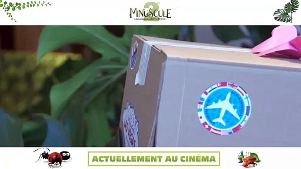 MINUSCULE 2 : Réactions spectateurs 2/2