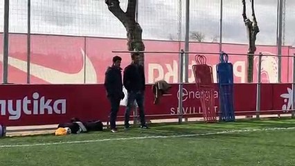 Entrenamiento del Sevilla (31/01/2019)