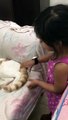 How little girl trying to have friendship with cat without her consent