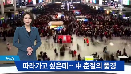 ‘30억 명’ 움직이는 中 춘절…반려동물 놓고 실랑이