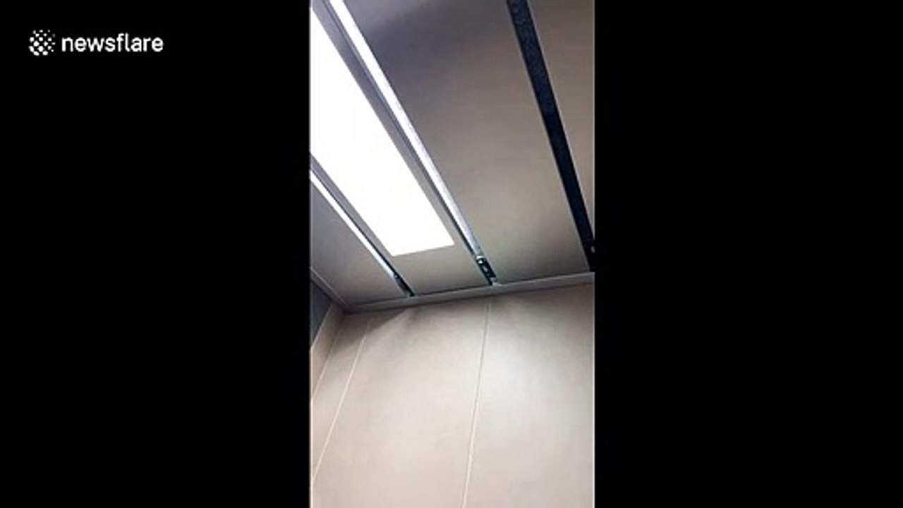 Tap makes bizarre screaming noise when turned on