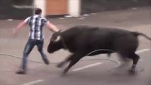 Funny Bullfighting Festival Spain 2019 - Animal video 2019