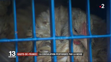 Tempête Gabriel : la neige paralyse les poids lourds dans les Hauts-de-France
