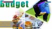 FinMin says no plans of full Budget instead of Interim Budget