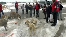 Minik yürekler, harçlıklarını sokak ve yaban hayvanları için harcadı