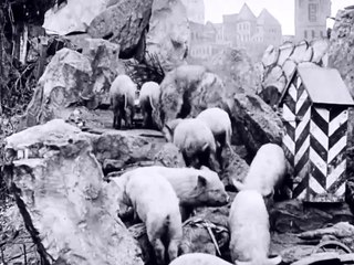 Vojna XX Veka [The War of the 20th Century] (1913)