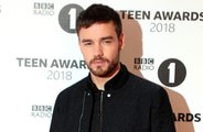 Liam Payne and Naomi Campbell enjoy night out together