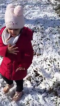 13ee6522-8495-4e57-a71b-7f016529e082