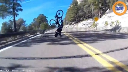 Une chute impressionnante à vélo après s'être pris un cerf de plein fouet !