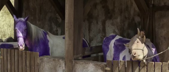 ailecek şaşkınız