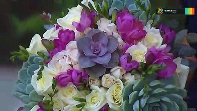 bd-arreglos-plantas-diferentes-ocasiones-300119