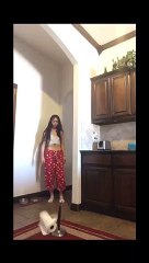 Bottle Flip avec un rouleau d'essuie tout et son support