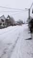 Un employé perd le contrôle de son chasse-neige (Belgique)