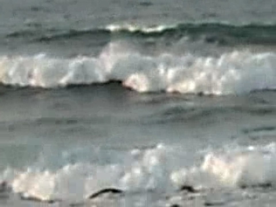 gg_joke : Bodyboard Penfoul