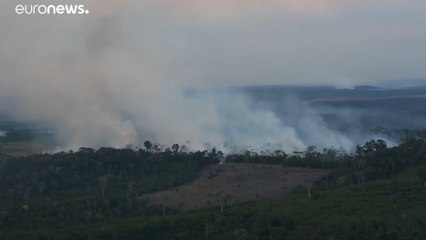La forêt amazonienne va être urbanisée !
