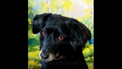 Awesome Portraits courtesy Mr. Adam Thomas (2)